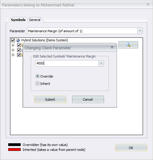 MaintenanceMarginParameter
